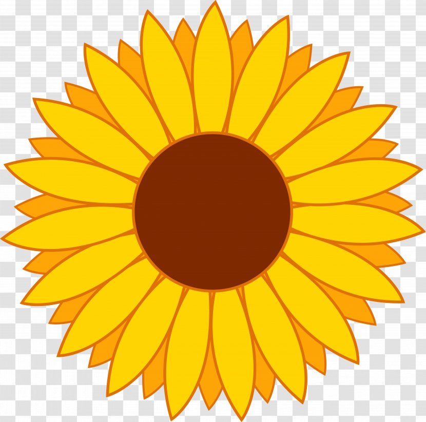 Common Sunflower Clip Art - Flowering Plant - Flower Transparent PNG