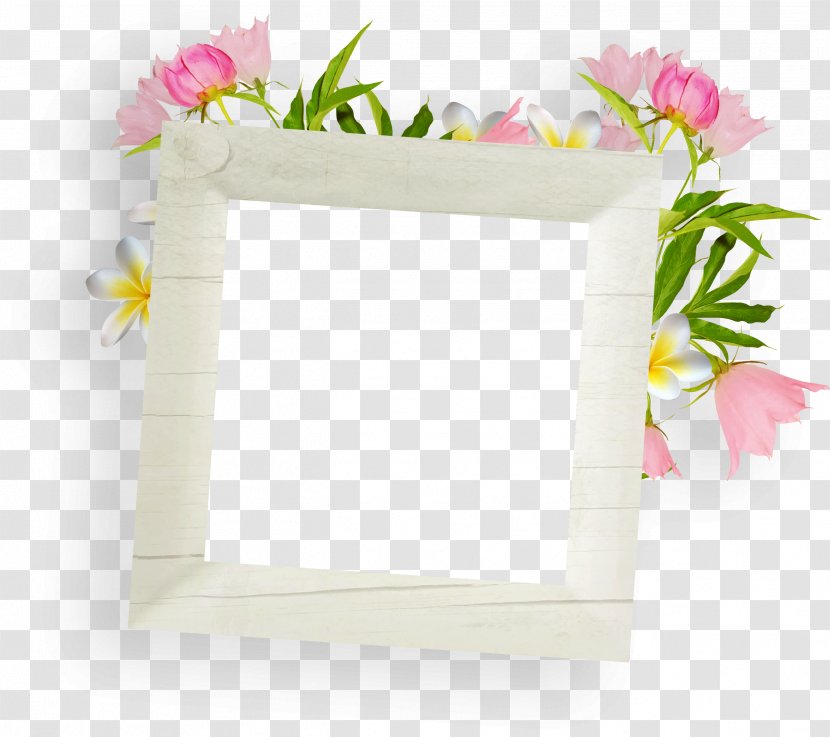 Picture Frames Flower - Pink Transparent PNG