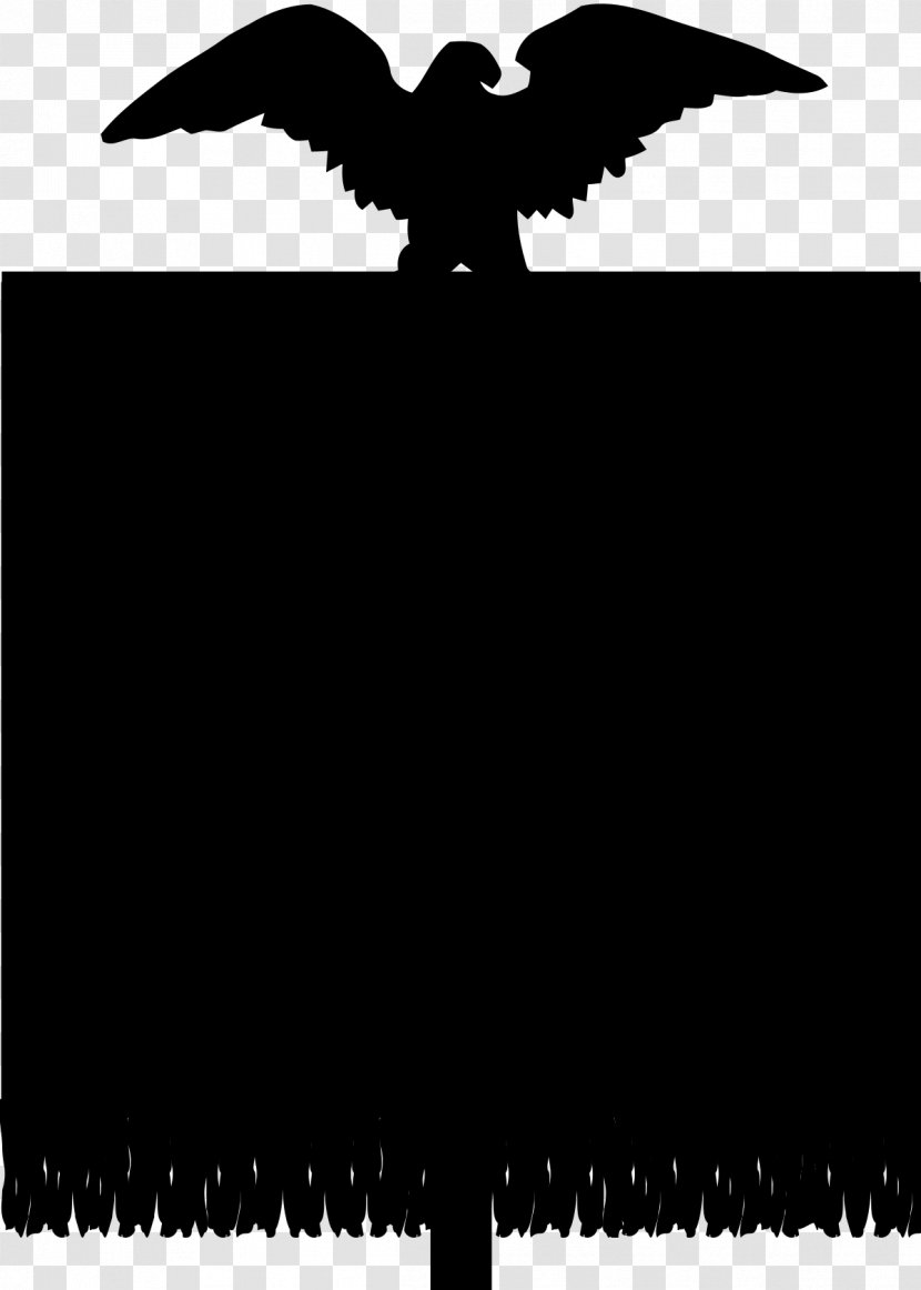 Eagle Logo - Bird Of Prey - Falconiformes Wildlife Transparent PNG
