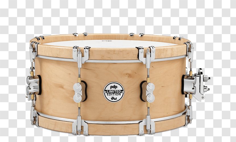 Pacific Drums And Percussion Snare PDP Concept Maple - Cartoon Transparent PNG