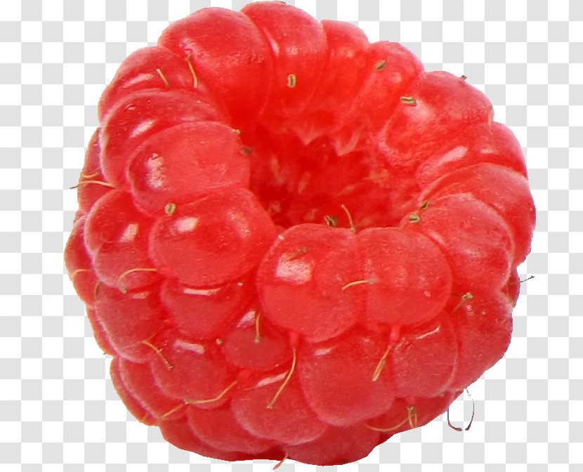 Red Raspberry Fruit Dewberry Transparent PNG