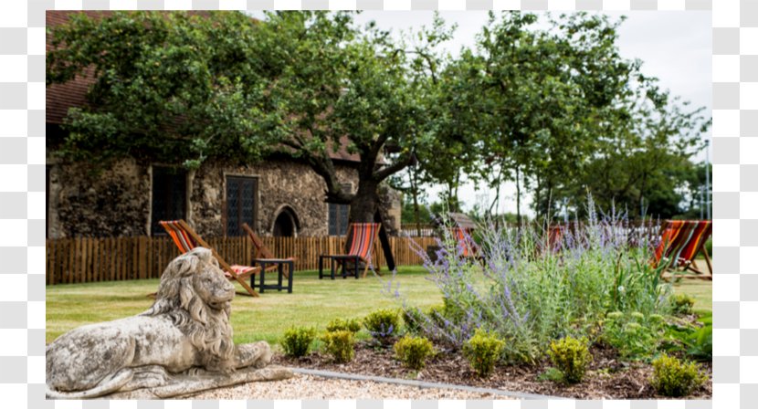 Backyard Wedding Reception Landscape Cambridgeshire - Plant - Red Lion Transparent PNG