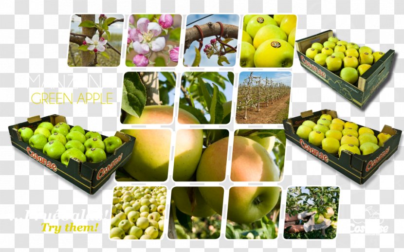 Vegetarian Cuisine Fruit Food Apple Cosanse - Cherry Transparent PNG