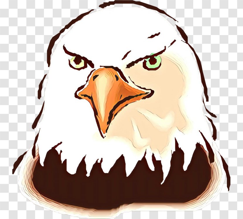 Bird Eagle Head Clip Art Beak - Bald - Mouth Of Prey Transparent PNG
