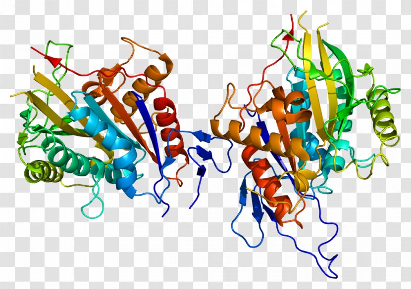 Cenpe Motor Protein Centromere CENPA - Kinetochore Transparent PNG