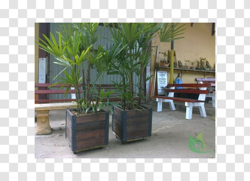 Arecaceae Majorelle Garden Blue Houseplant Flowerpot - Tree - Pousada Das Canoas Transparent PNG