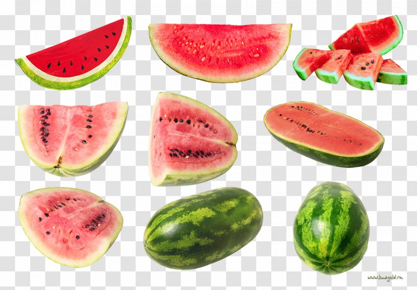 Citrullus Lanatus Melon Clip Art - Depositfiles - Watermelon Transparent PNG