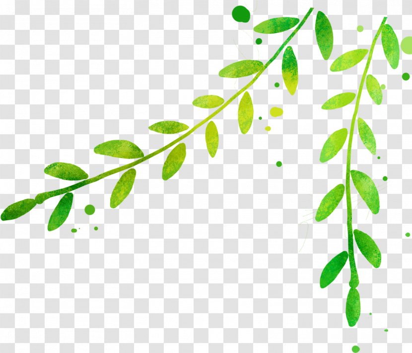 Leaf Poster Drawing - Branch - Fresh Green Leaves Transparent PNG