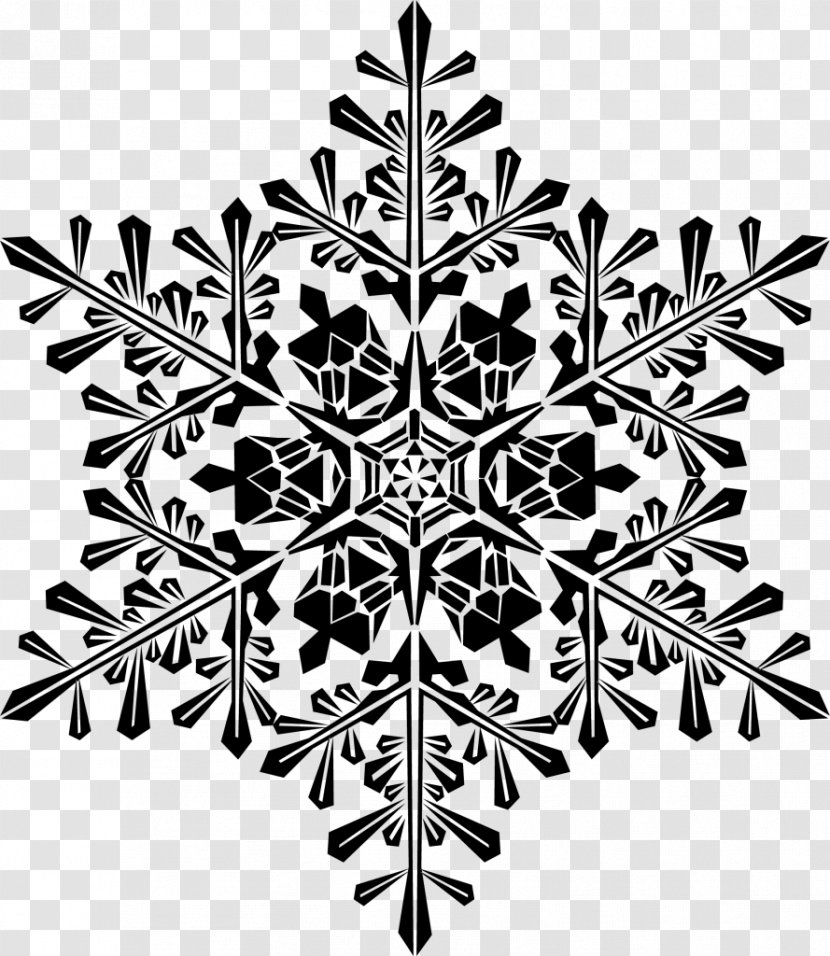 Clip Art Snowflake Image Vector Graphics - Plant - Stock Photography Transparent PNG