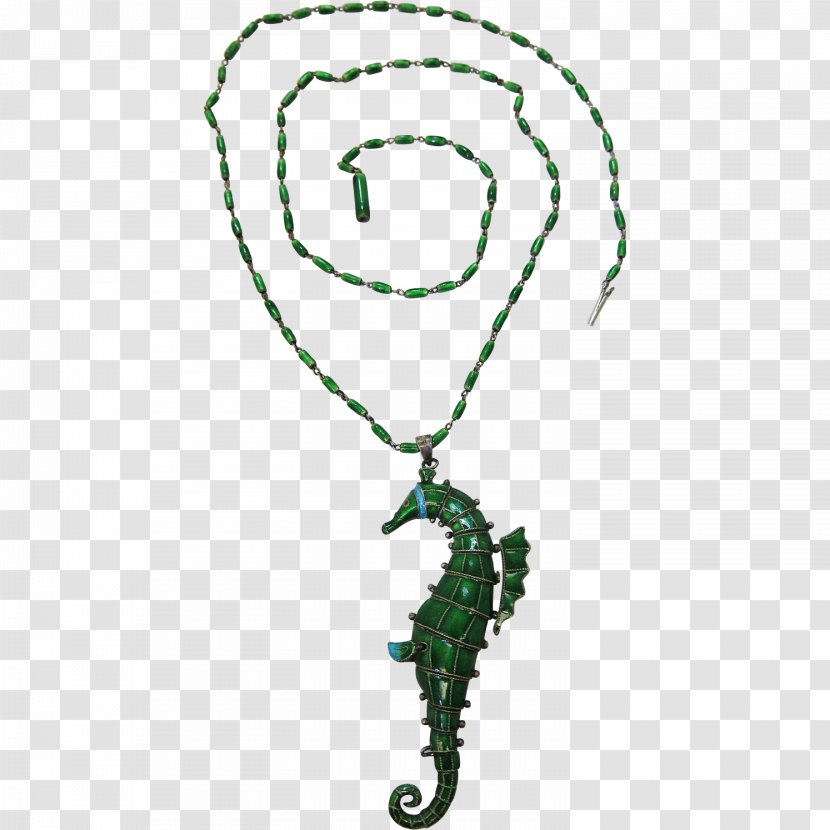 Seahorse Jewellery Syngnathiformes Necklace Chain Transparent PNG