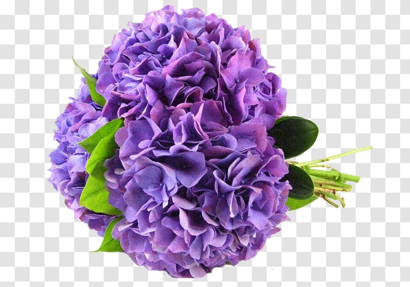 Hydrangea Flower Bouquet Wedding Violet - Sky Blue Transparent PNG