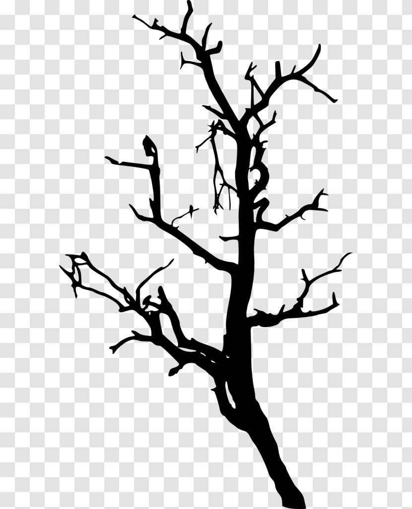 Twig Silhouette Clip Art - Black And White Transparent PNG