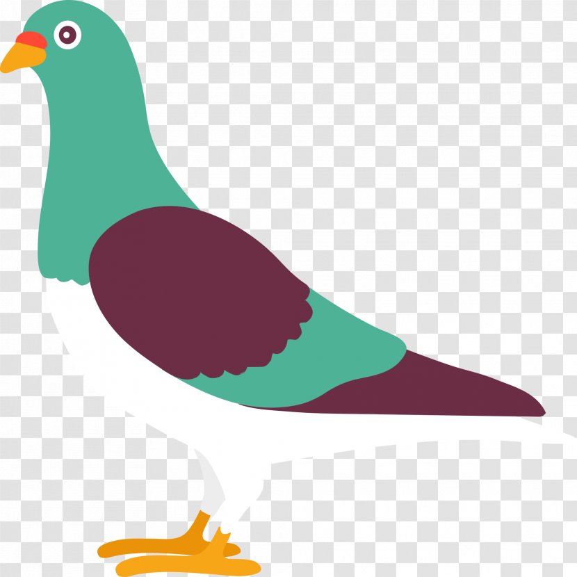 Pigeons And Doves Rock Dove Bird Homing Pigeon Vector Graphics - Vertebrate - Columbine Transparent PNG