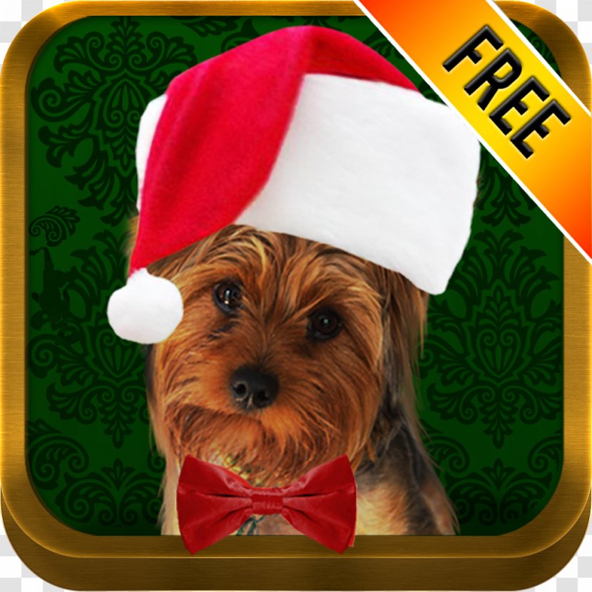Photo App Holiday Santa Claus Dog Pet - Carnivoran Transparent PNG
