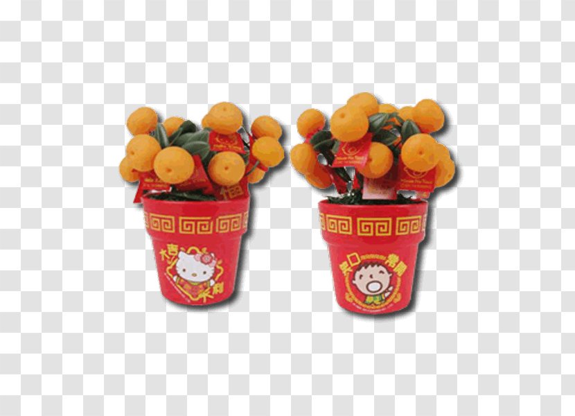 Flowerpot Fruit - Gong Xi Fa Cai Transparent PNG