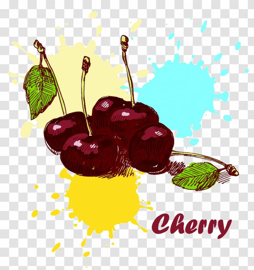 Cherry Illustration - Natural Foods Transparent PNG