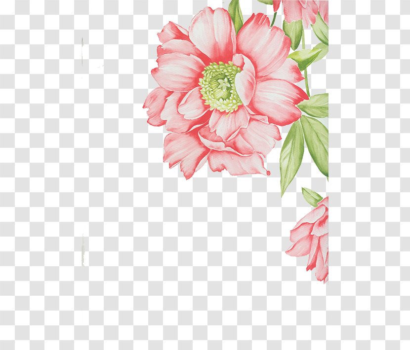 Floral Design Cut Flowers Transvaal Daisy Flower Bouquet Artificial - Flowering Plant - Pink Transparent PNG