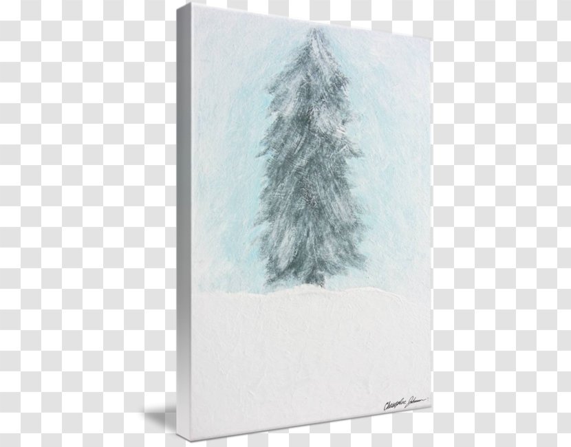 Spruce Winter Sky Plc - Pine Watercolor Transparent PNG