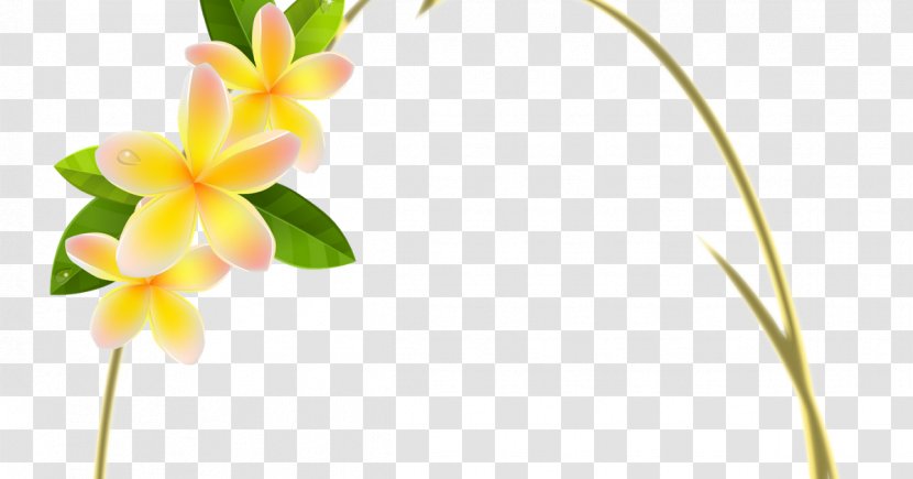 Flower Floral Design Picture Frames - Petal Transparent PNG