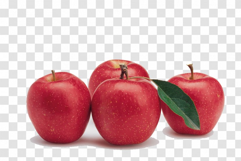 IPhone 4 X Apple Campus An A Day Keeps The Doctor Away - Fruit - Red Transparent PNG