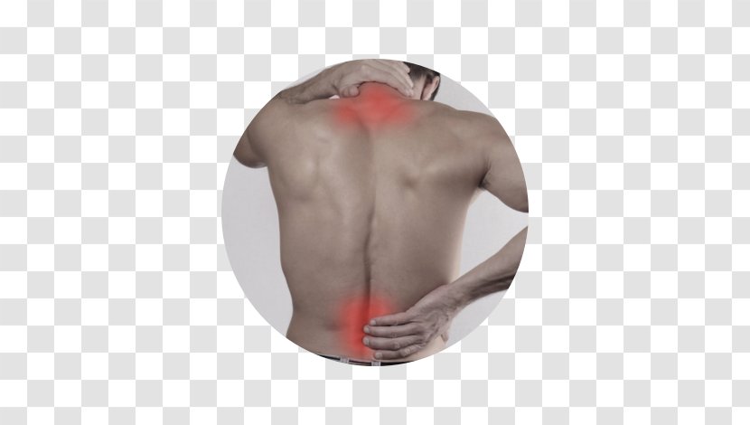 Massage Physical Therapy Chiropractic Neck Pain - Watercolor - Cartoon Transparent PNG