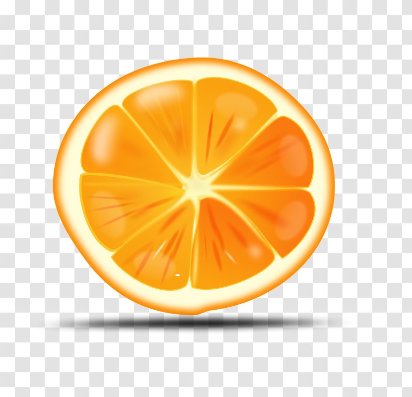 Orange Juice Free Content Clip Art - Grapefruit - Fruits Picture Transparent PNG