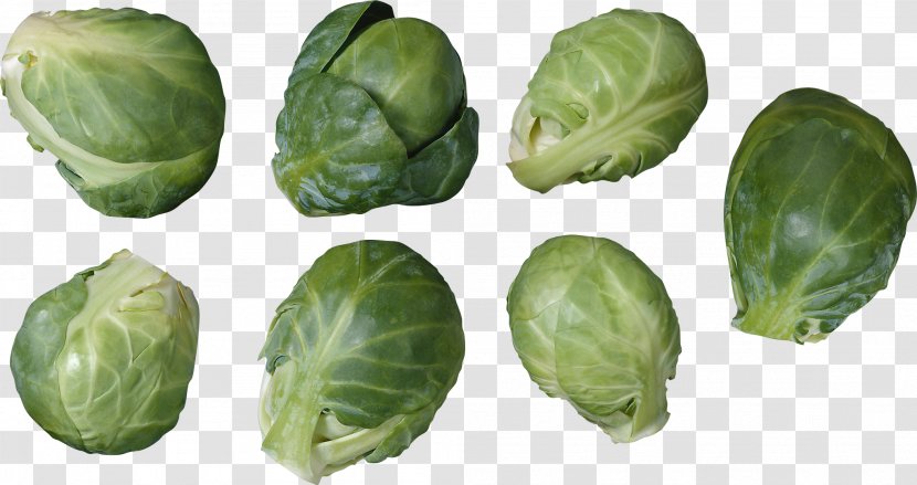 Brussels Sprout Cabbage Kohlrabi Cauliflower Broccoli - Ingredient - Beet Transparent PNG