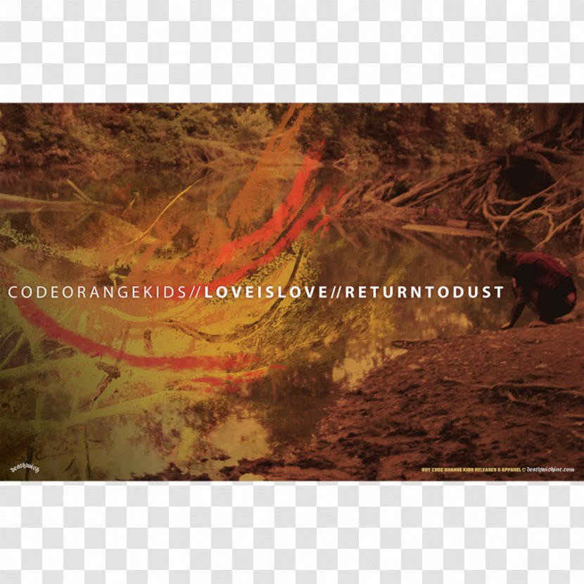 Code Orange Pittsburgh /m/083vt Deathwish Inc. Stock Photography - Flower - Dust Transparent PNG