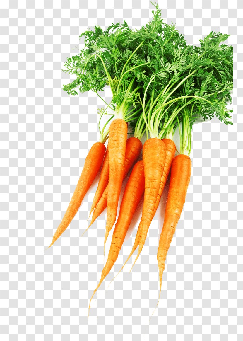 Baby Carrot Supergezond: 64 Supergezonde Recepten Food Medical Diagnosis Physician - Acute Abdomen Pain Transparent PNG