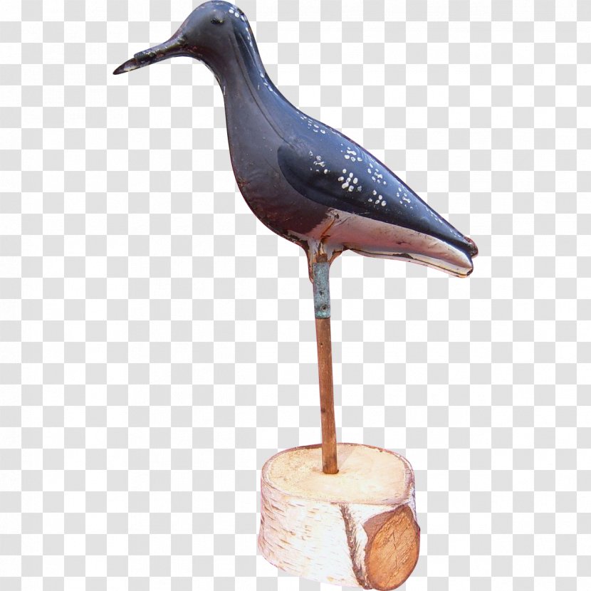 Wader Seabird Beak Neck - Charadriiformes Transparent PNG