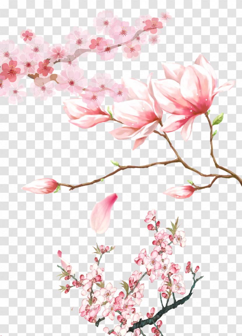 Cherry Blossom Peach Red - Flower Arranging Transparent PNG