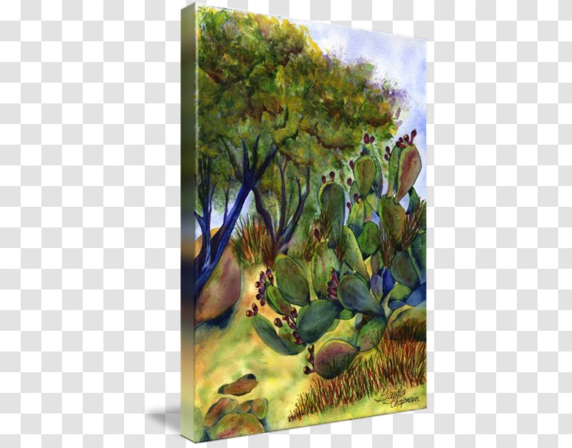 Biome Flora Landscape Fauna Painting - Organism - Arizona Desert Transparent PNG