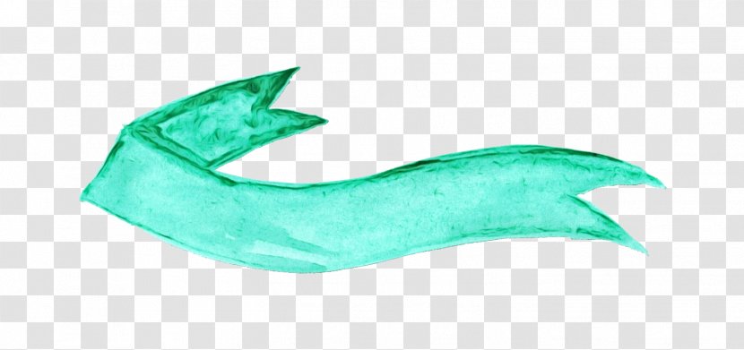 Green Background - Cetaceans Transparent PNG