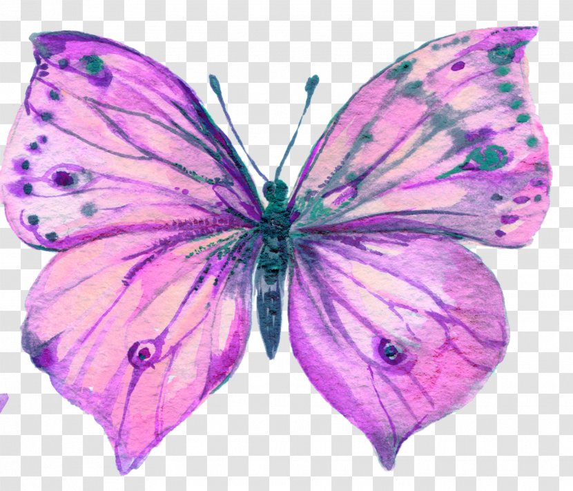 Butterfly Watercolor Painting Art - Pollinator - Grace Transparent PNG