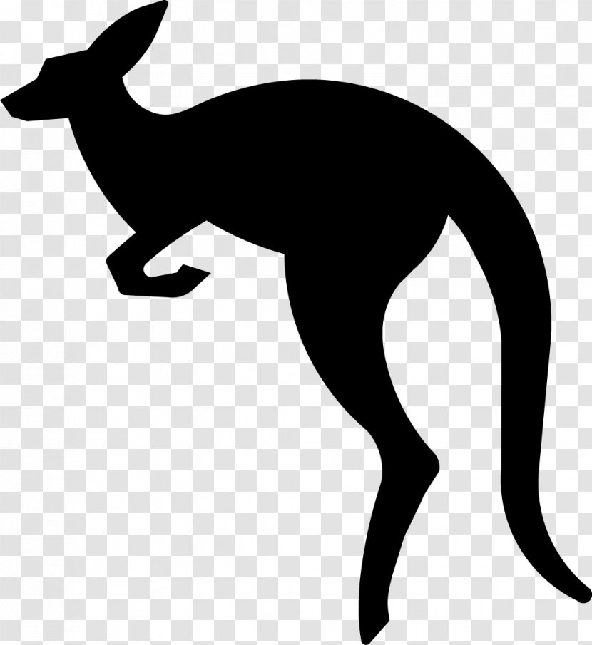 Australia Kangaroo Vector Graphics Clip Art - Aussie - Tail Transparent PNG