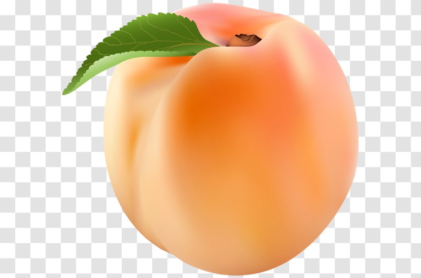 Nectarine Peach Clip Art - Brugnon Transparent PNG