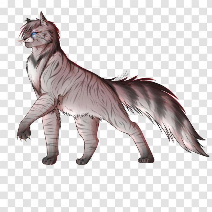 Whiskers Wildcat Norwegian Forest Cat Warriors Drawing - Fur - Silverhawk Transparent PNG