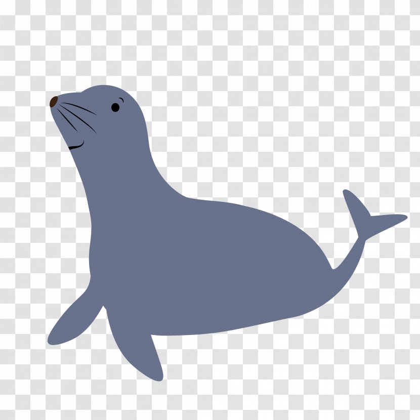 Tucuxi Sea Lion Dolphin Wildlife Beak Transparent PNG