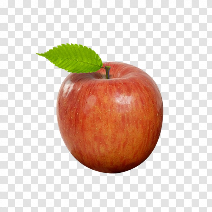 Apple Auglis - Mcintosh - Free Apples Ripe To Pull Material Transparent PNG