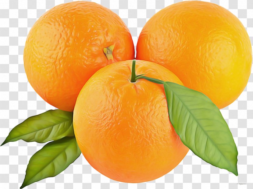 Orange - Tangerine - Mandarin Rangpur Transparent PNG