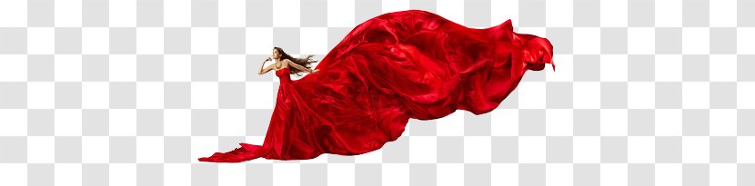 Dress Stock Photography Gown Silk Textile - Big Skirt Women Transparent PNG