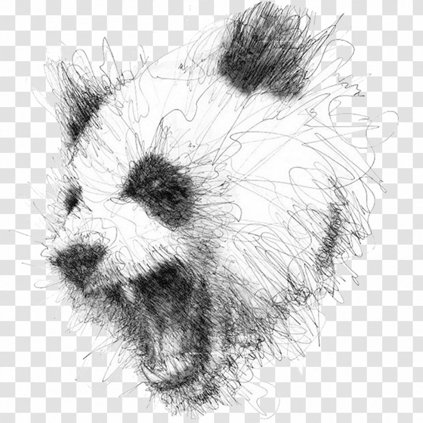 Drawing Artist Illustrator - Hand-painted Panda Transparent PNG