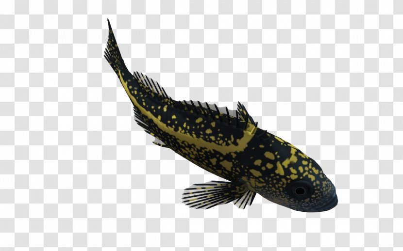 3D Computer Graphics Fish Clip Art - Sea - Biological 3d Cartoon Animals Transparent PNG