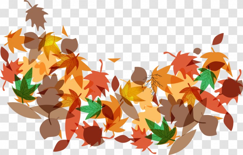 Maple Leaf Autumn - Color - Falling Leaves Transparent PNG