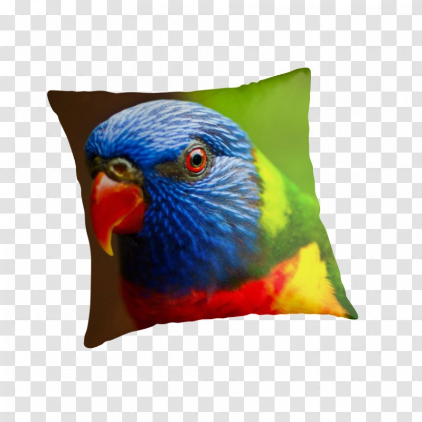 Macaw Cushion Pillow Feather Beak - Bird - Lories And Lorikeets Transparent PNG