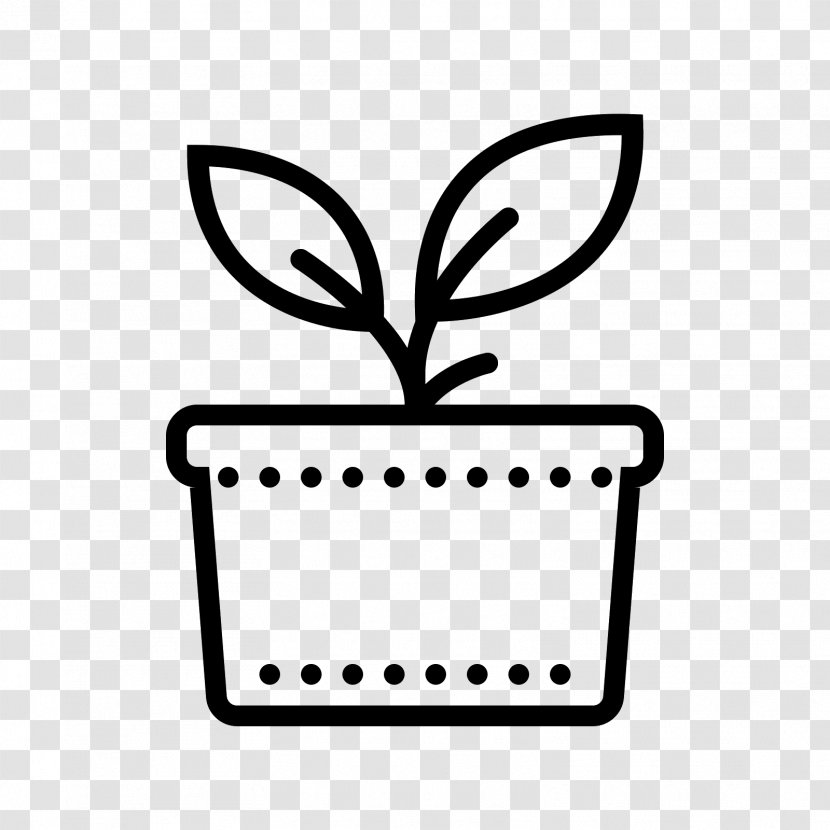 Houseplant Tree Botany - Pot Plant Transparent PNG