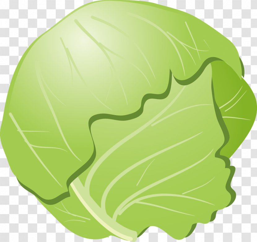 Cabbage Cauliflower Okonomiyaki Vegetable - Food - Vector Transparent PNG