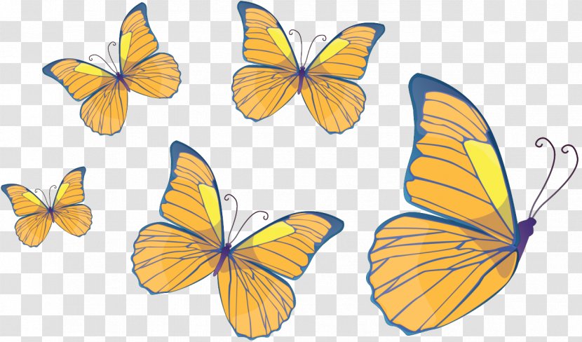Butterfly Insect - Drawing Transparent PNG