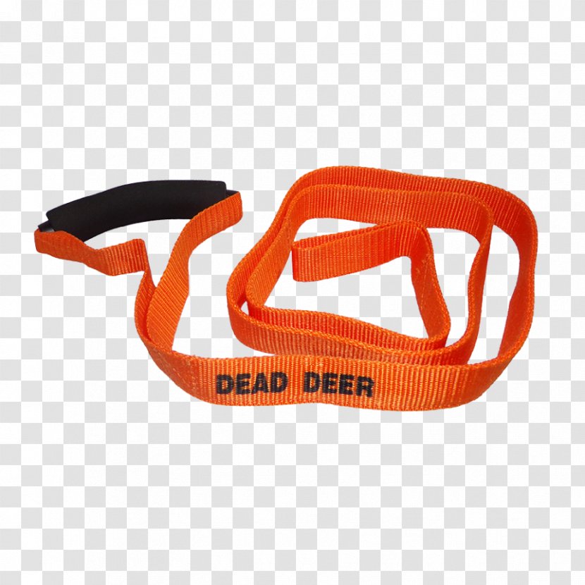 Bowhunting Deer Archery Safety Orange Transparent PNG