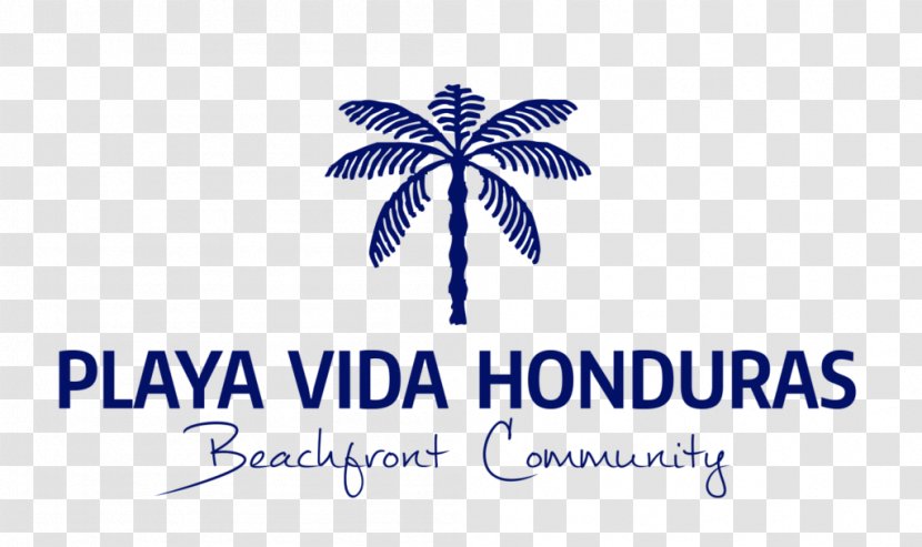 Playa Vida Honduras Beachfront Community HGTV House - Hgtv - Beach Life Transparent PNG